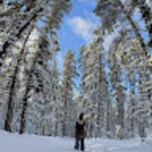 Meet your Posher, Kalyne